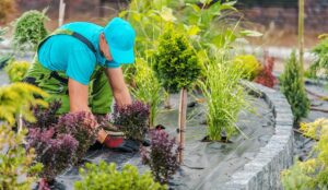 Landscape Services That Add Value and Beauty to Your Property