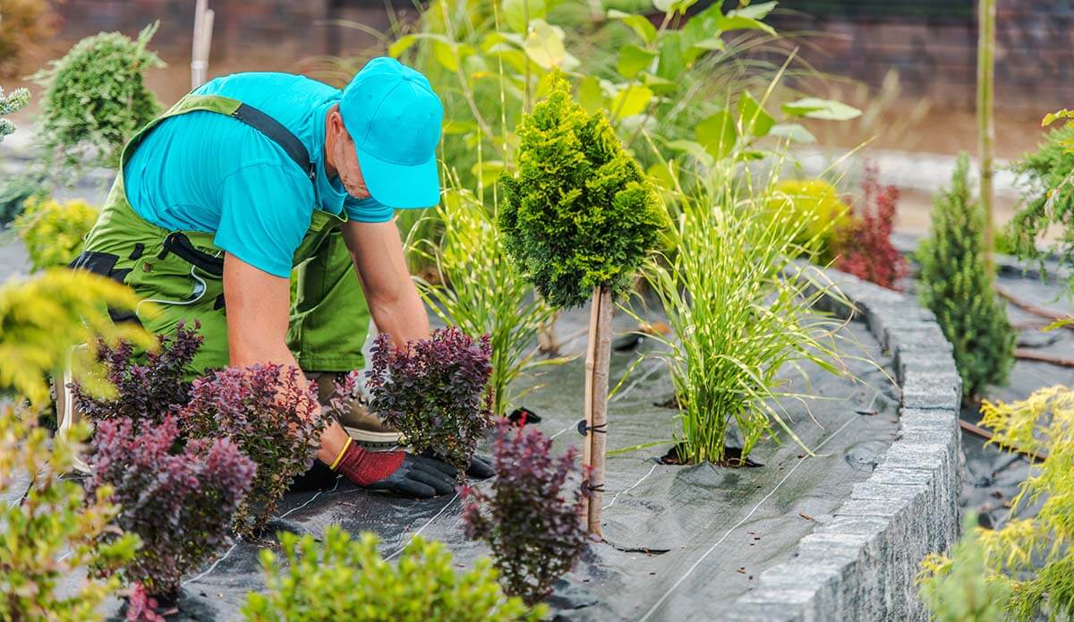 Landscape Services That Add Value and Beauty to Your Property